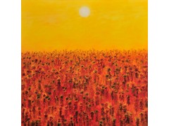 太阳太阳图1