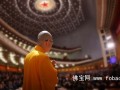聚焦2014两会佛教界提案 你最关注什么