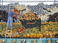 英国村民百种瓜果打造巨幅壁画