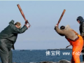 影星呼吁拒绝海豹制品——动物保护主义者