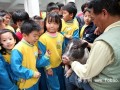 《和猪猪一起上课的日子》重现台湾中坜龙冈国小