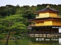 素食主义者的11个天堂城市