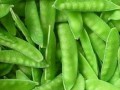 荷兰豆的营养价值