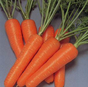 英国研究称吃胡萝卜让人更美丽