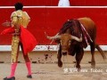 从西班牙禁止斗牛赛到中国金华狗肉节
