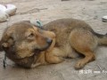我们需要更多的爱
