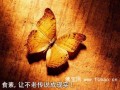 素食者为何能永远年轻？