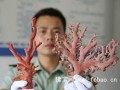 宁波边防破获一起特大非法捕捞红珊瑚案