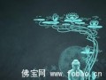 觀世音菩薩示顯的奇跡