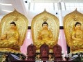 第九届中国厦门国际佛事用品展览会圆满落幕！明年四月，再会厦门