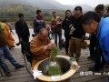 杭州法净寺禅茶开采