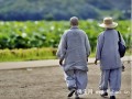 道源寺：眷衣一袭归山去