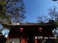 京城法源寺：法源宗源 书香满亭台