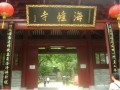 广州 海幢寺