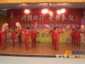 深圳弘法寺举行2015年“同愿同行”新年茶话会（图）