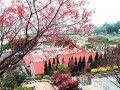 新竹 莲华寺