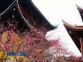 法会—浙江宁波慧日禅寺放生及蒙山超荐法会（图）