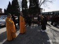 日本佛教临济宗参访团访问河北赵州柏林禅寺（图）