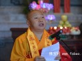 静波法师：要进一步加强基层政府宗教机构建设