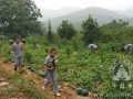 河南登封嵩山少林寺组织僧众慰问驻军部队官兵