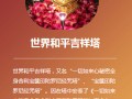 12-27 世界和平吉祥塔于陕西大兴善寺举行安奉仪式