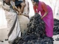 印度一寺庙遭遇盗窃 小偷偷走10公斤头发
