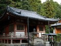 日本醍醐寺佛教珍藏首次来华展出