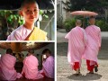 缅甸比丘尼 粉色外衣背后不为人知的故事
