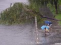 北京暴雨 两男子冒雨将冲上岸的鱼扔回河中