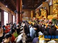 法会—深圳弘法寺举行药师佛圣诞日诵经祈福普利法会