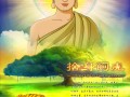 【佛教电影】《舍身饲虎》腊月开播 温暖寒冬