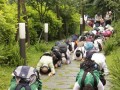 05-06~07 台湾法鼓山世界佛教教育园区将举办5月浴佛朝山活动