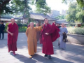 内蒙古、新疆两地藏传佛教教职人员参访团到访广州光孝寺