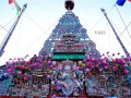 数万信众“排长龙”青海塔尔寺探“佛前花开”