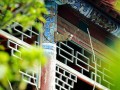 济南一学校内藏千年古寺 曾为李世民行宫旧址