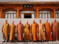 台湾佛光山寺住持心保法师一行参访龙泉寺