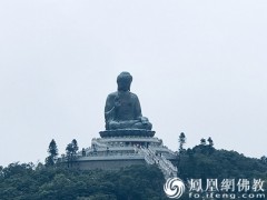 阿弥陀佛和释迦牟尼佛是什么关系？