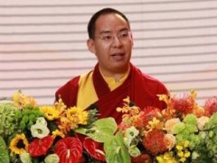 十一世班禅出席第五届世界佛教论坛开幕式并发表演讲