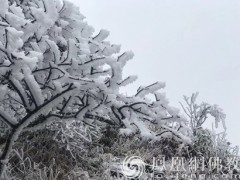 道坚法师金佛山闭关三载 值大雪闲吟诗词八首