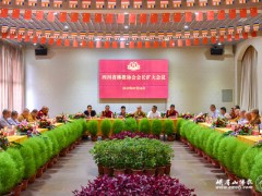 四川省佛教协会会长扩大会议在峨眉山大佛禅院举行