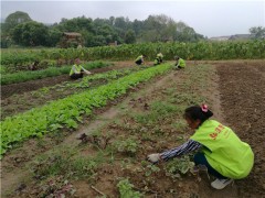 江西省吉安市青原山净居寺举行追思缅怀体光老和尚圆寂十五周年系列纪念活动