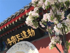 美丽寺院 北京天宁寺