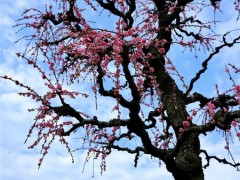 美丽寺院 弥勒道场 · 宁波奉化雪窦山