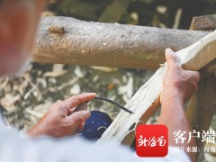 海南沉香已初步形成全产业链 但存量低等问题仍需破解